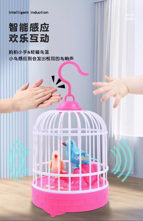 如何为宠物鸟提供丰富的玩具和活动空间
