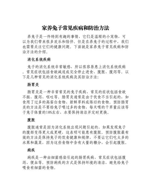如何判断宠物兔是否生病并采取有效治疗措施