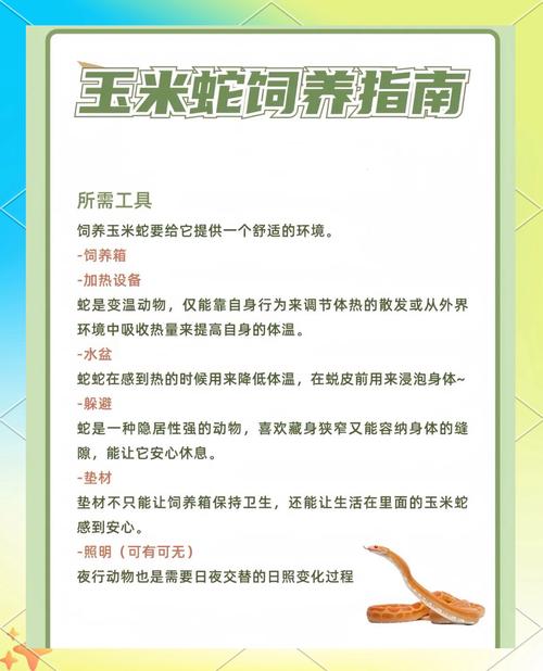 如何判断宠物蛇的食量并确保其营养均衡