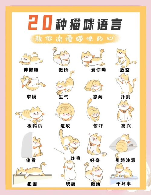 如何帮助宠物猫缓解换季时的情绪波动