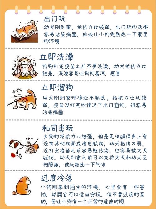 如何帮助宠物适应不同季节的变化