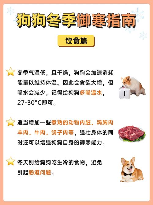 如何帮助宠物适应不同季节的温度变化