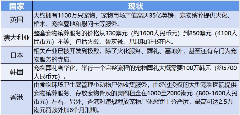 年轻主力军掀起“它经济”新浪潮