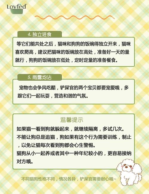 如何帮助猫咪和狗狗适应与其他宠物共处