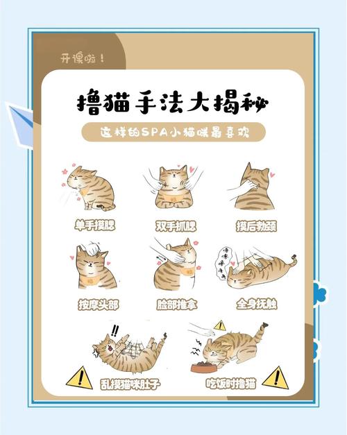 如何帮助鳌拜猫减少分离焦虑