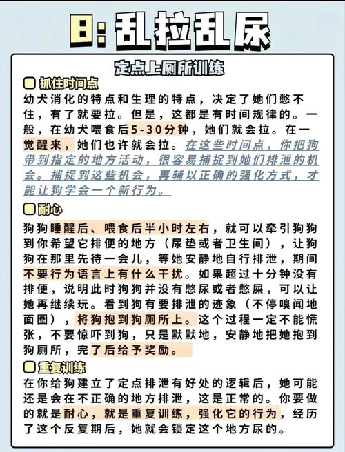 如何应对大型犬的不良行为并进行纠正