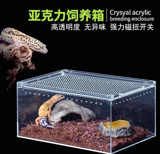 如何打造宠物蛇的理想栖息环境