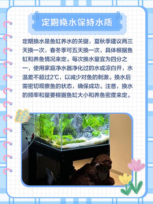 如何正确喂养宠物鱼保持水族箱生态平衡