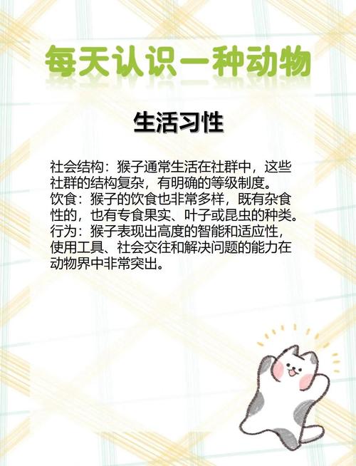 如何正确选择适合自己家庭的宠物猴品种