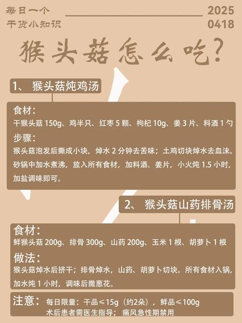 如何科学管理宠物猴的饮食和生活习惯