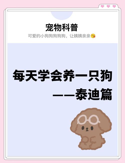 如何科学饲养泰迪狗让它健康快乐成长