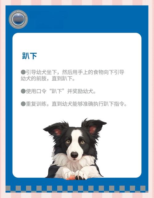 如何训练法斗让它成为乖巧宠物