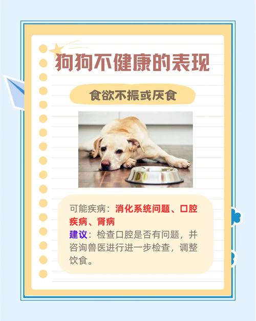 如何识别狗子的健康问题并采取预防措施