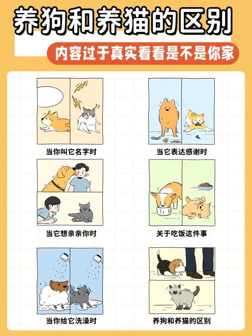 如何选择适合的小狗小猫品种确保宠物与家庭和谐相处