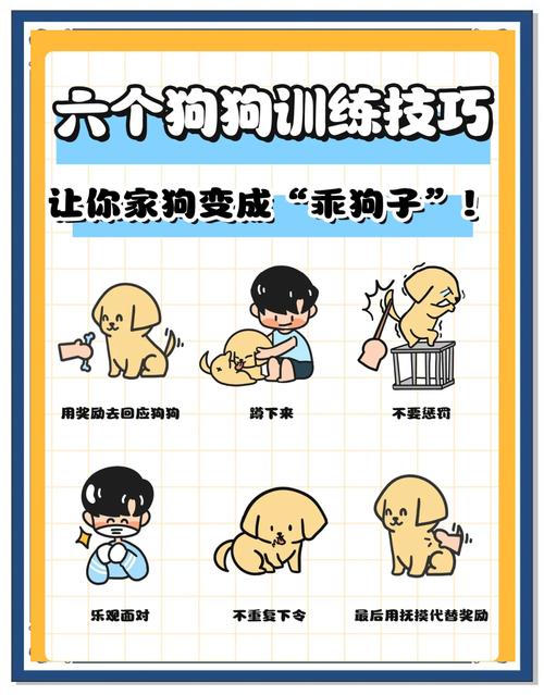 如何通过正确的沟通技巧与宠物狗建立亲密关系