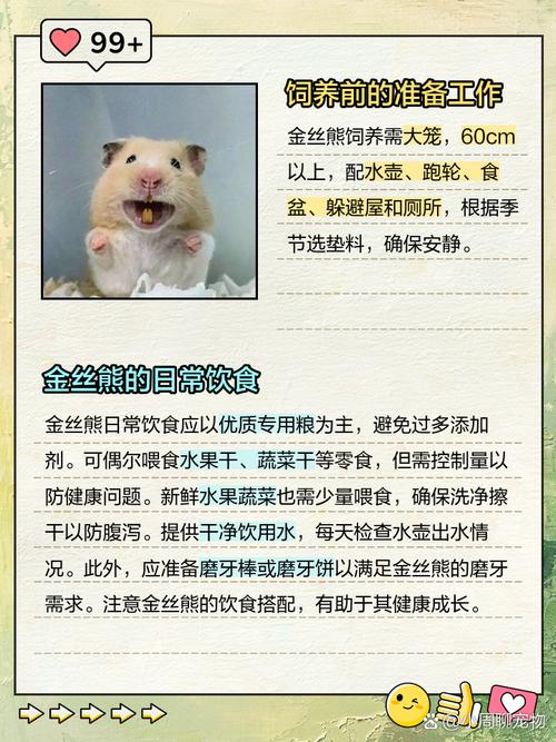 如何通过科学饲养方法提高金丝熊的生活质量