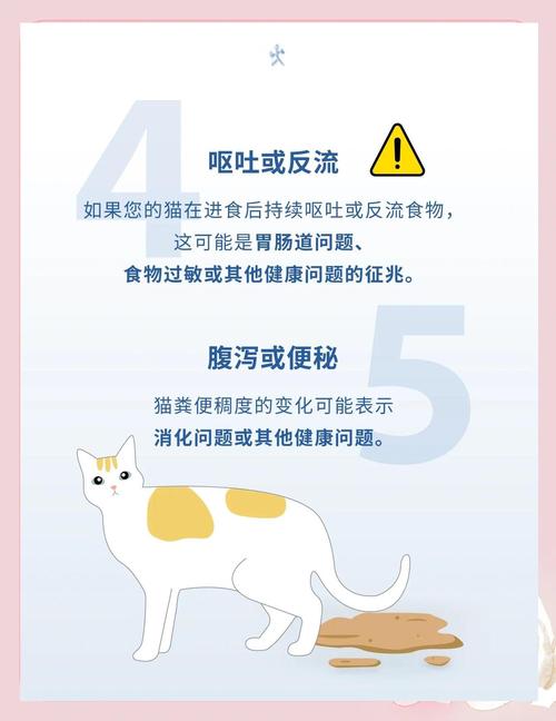 如何通过观察宠物猫的行为发现健康问题