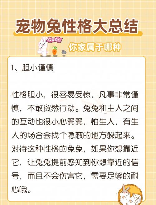 宠物兔的性格特点与饲养中的心理关怀