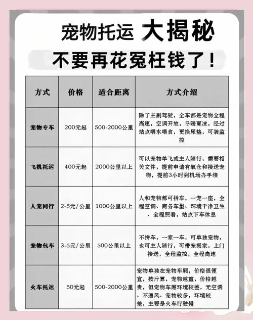 宠物托运价格因素揭秘 影响费用的关键要素有哪些