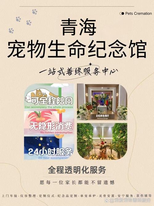 宠物火化上门服务为爱宠提供尊严告别