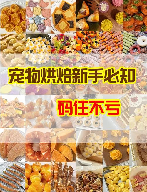 宠物烘焙培训学校课程让宠物食品更加安全健康