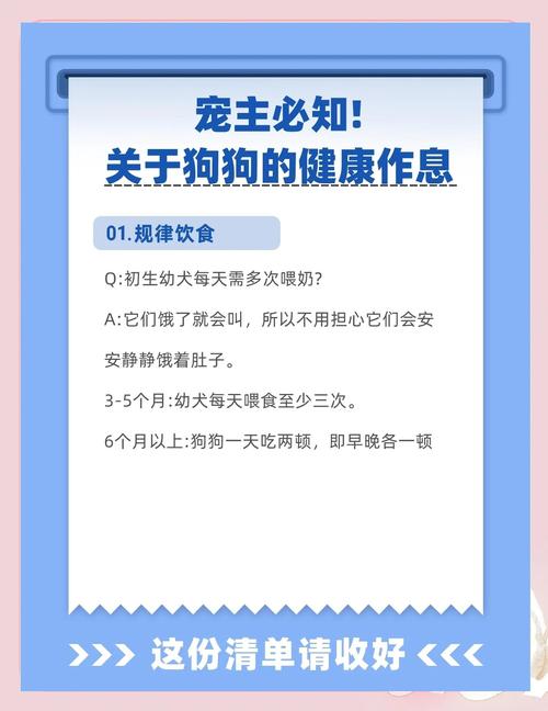 宠物狗的心理健康和主人应如何更好照顾