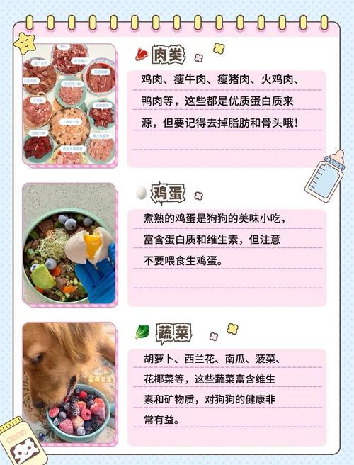 宠物狗的训练技巧与健康饮食的合理搭配