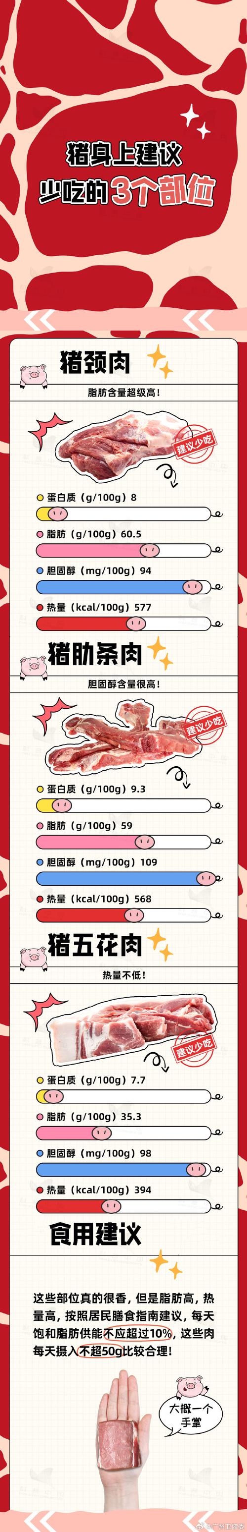 宠物猪的肥胖问题及如何避免过度喂养