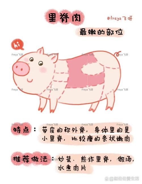 宠物猪的饮食要求和喂养注意事项