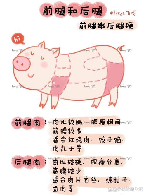 宠物猪食欲不振时如何进行调整
