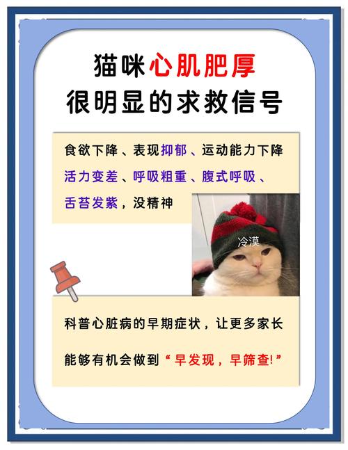 宠物猫常见的心脏病及早期症状