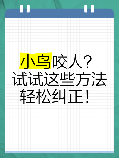 怎样减少宠物鸟咬人的问题避免伤害