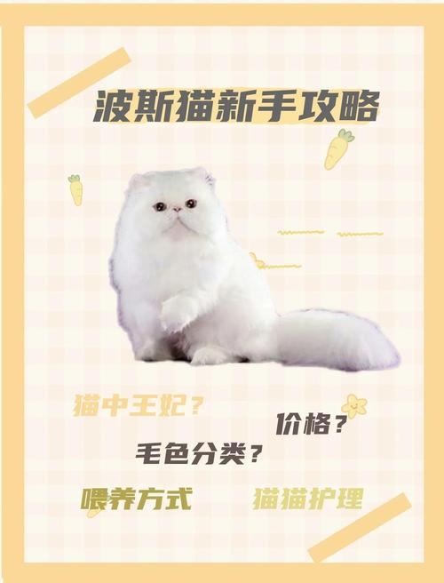 怎样帮助波斯猫避免常见的疾病