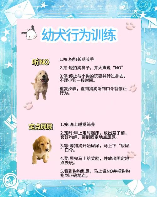 提升宠物性格的方法从小开始培养