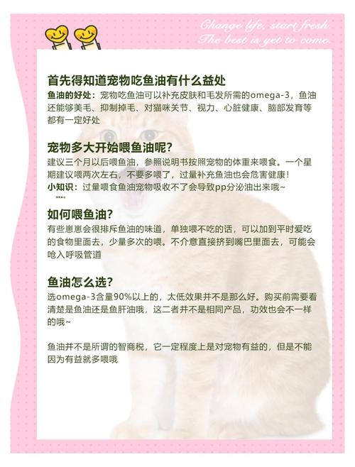 提升宠物鱼免疫力的最佳喂养方法推荐