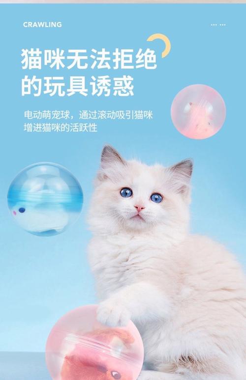提升猫咪情绪的玩具选择让它们保持好心情