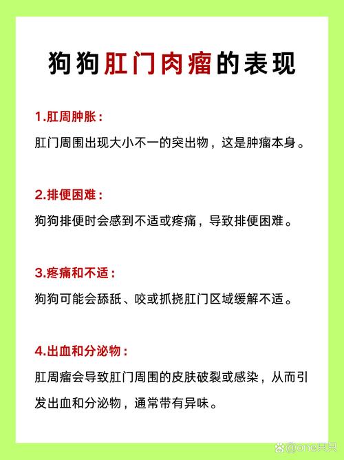 视频：狗狗长肛门肿瘤能活多久？