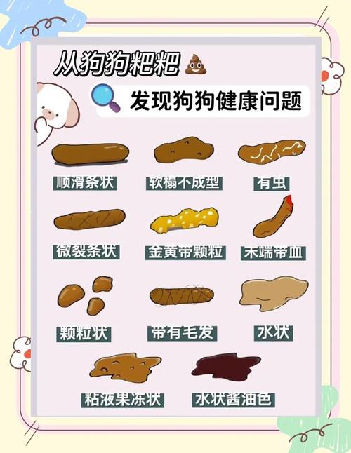 视频：狗狗驱虫后大便会是怎么样的？