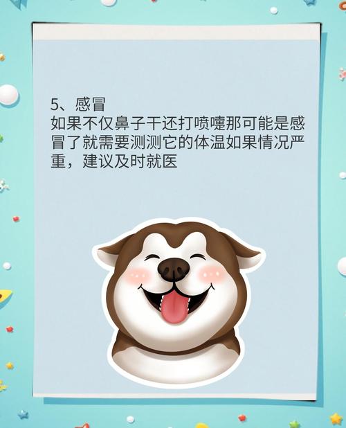视频：狗狗鼻子真菌感染导致脱皮该怎么办？