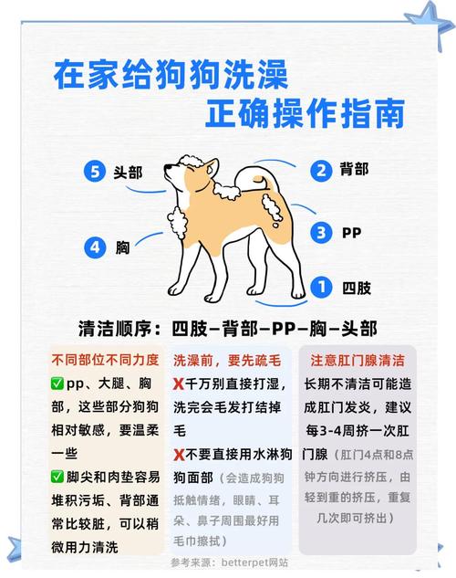 让狗狗爱上洗澡避免它抗拒洗澡的技巧
