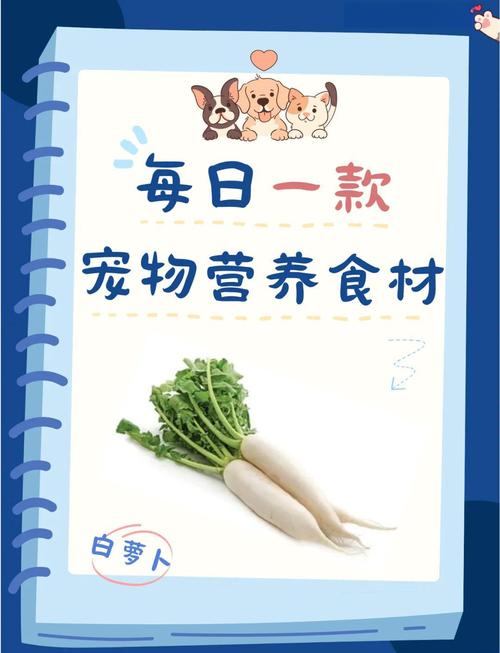 让猫狗健康成长从日常饮食和运动开始