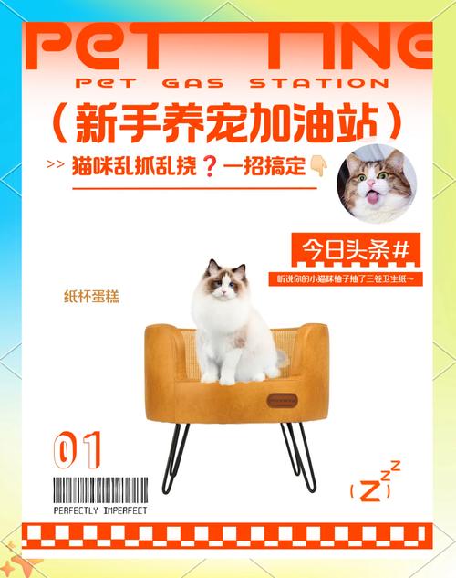 训练宠物猫如何不再乱抓家具