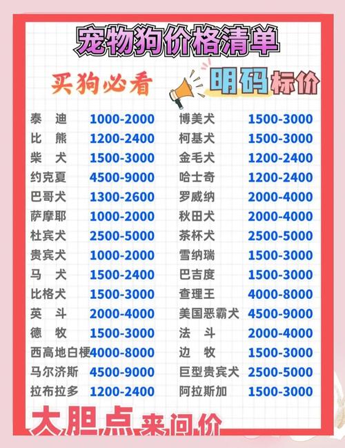 超百万只猫狗，从“钢城”卖到全国