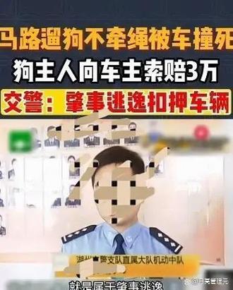 宠物狗被撞死后，主人索赔火化费、“超度”费？法院判了