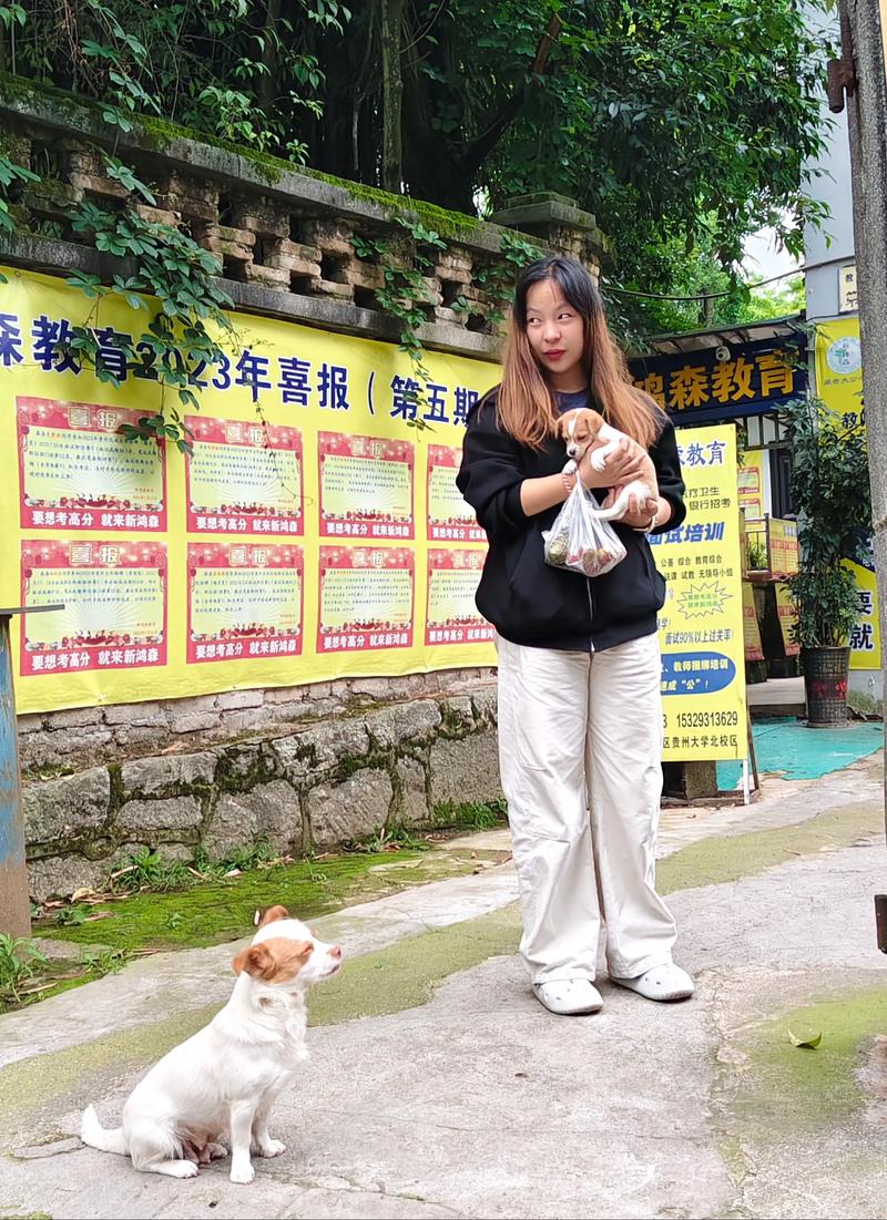 网友在狗狗幼儿园工作，一回家自家狗就闻她！