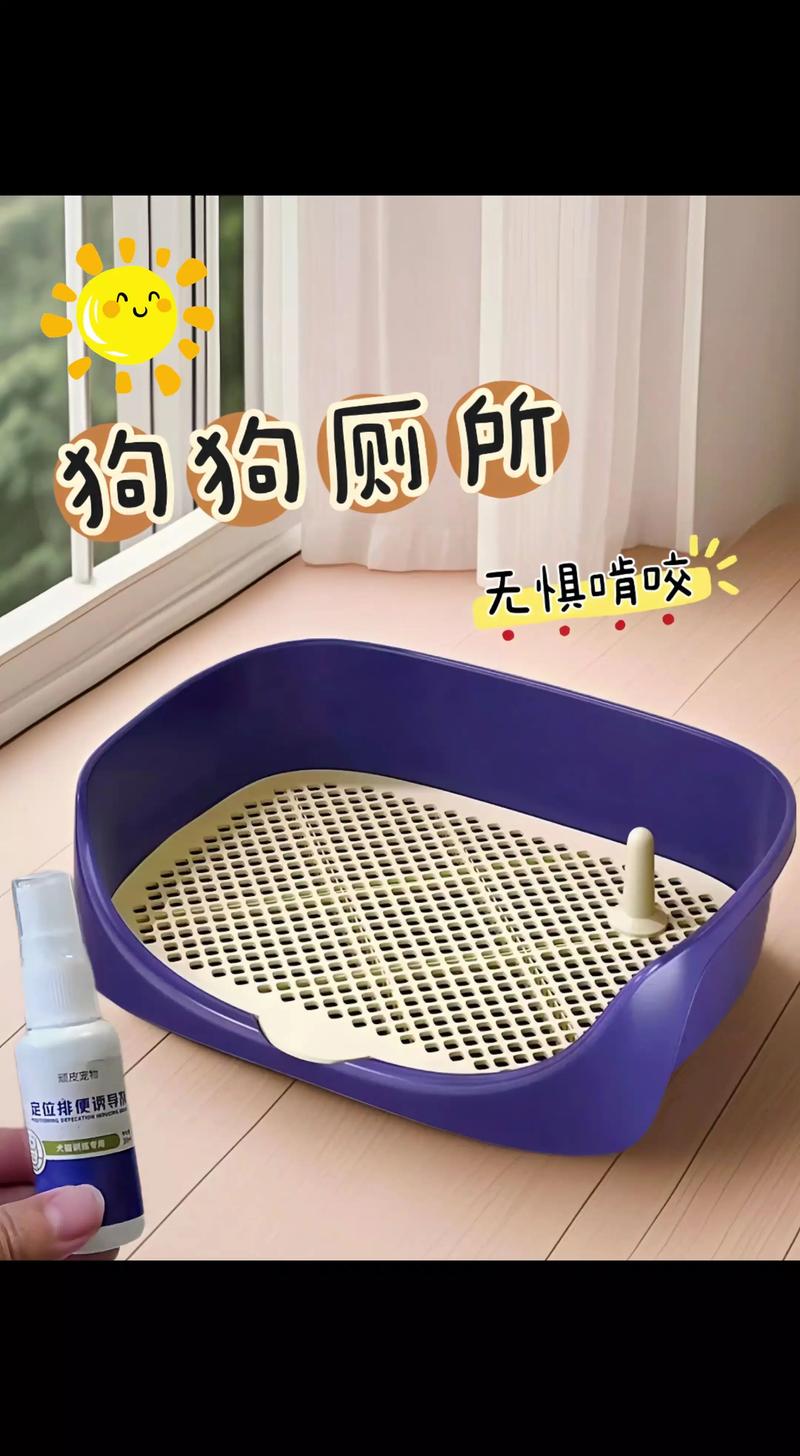 视频：可以将狗狗放在卫生间养吗？
