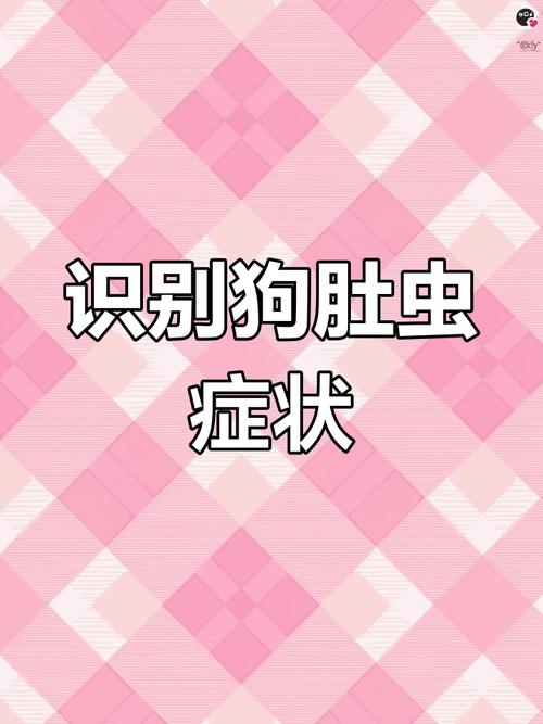 视频：怎么样辨别狗狗是否有虫？