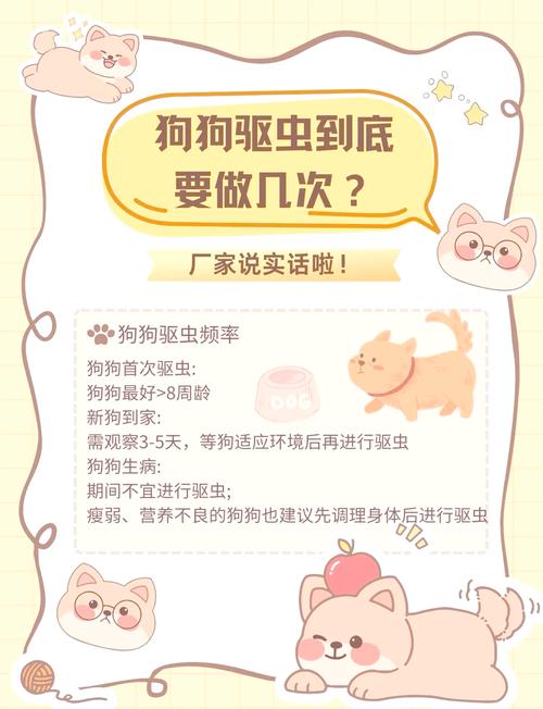 视频：成年狗狗多久驱虫一次？