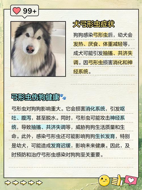 视频：检查狗狗有没有感染弓形虫多久会出结果？