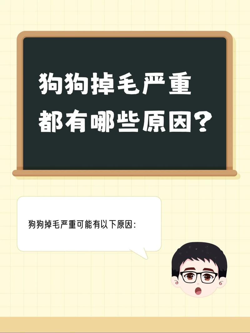 视频：狗狗严重掉毛是什么原因呢？